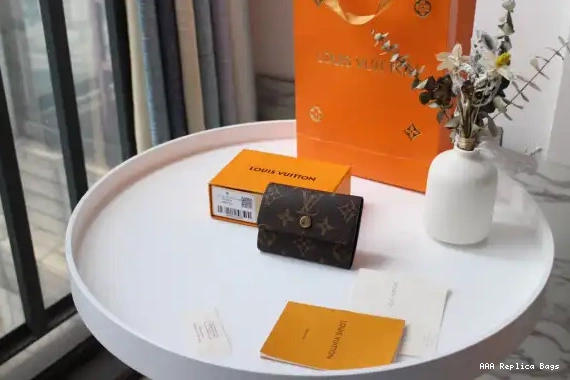 Aaa replica bags LOUIS VUITTON MICRO WALLET 0508